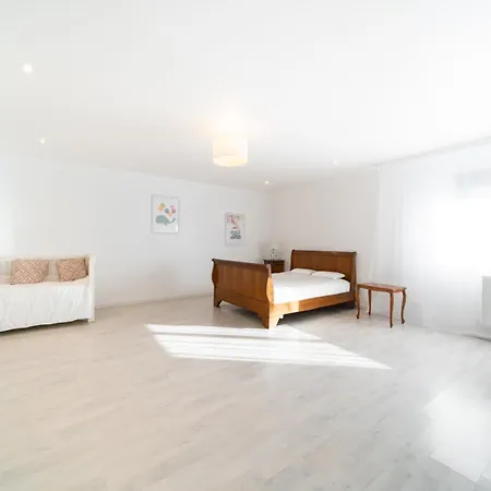 Modern And Spacious فيلة سولتزماسولتز